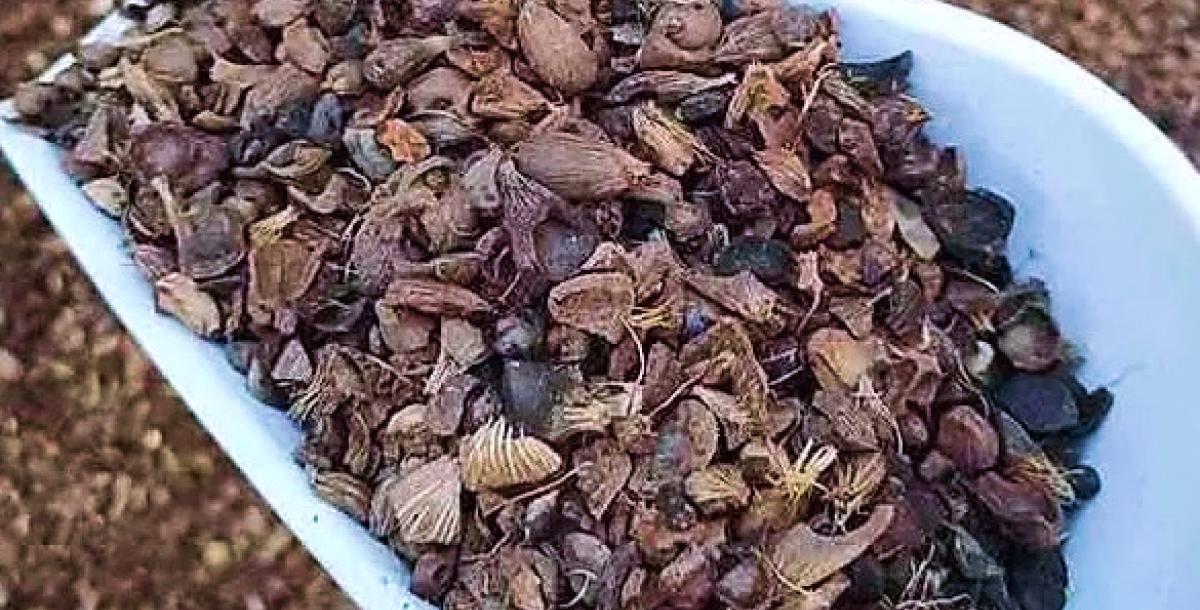 Palm Kernal shell https://greenenergyintegrationservices.com/wp-content/uploads/2025/02/Palm-Kernal-shell.jpg