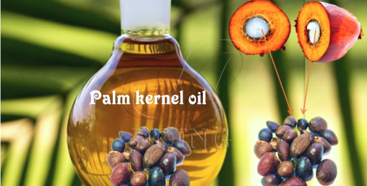 Palm Kernel oil https://greenenergyintegrationservices.com/wp-content/uploads/2025/02/Palm-Kernel-oil.jpg